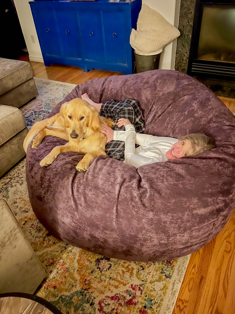 VidarbhaB's tweet photo. Nothing beats the cozy vibe when your fur baby curls up on your lap after a long day  The best kind of comfort, guaranteed. https://t.co/wZmuEXI29z