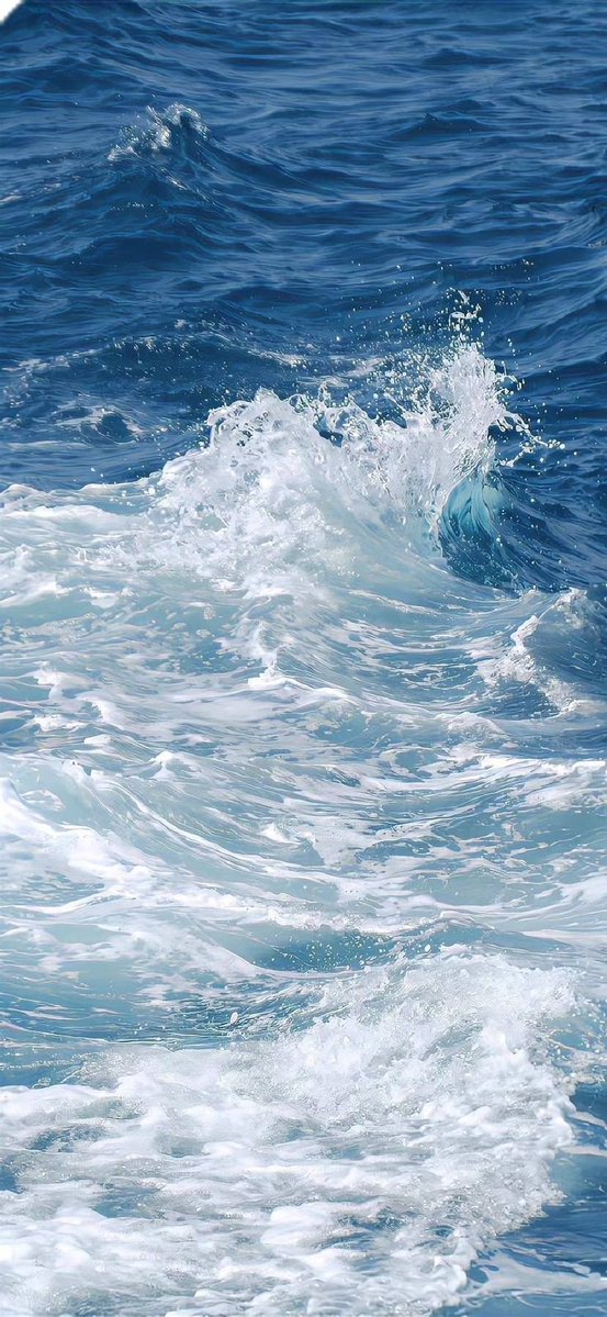purelivn's tweet photo. sea therapy 🌊 https://t.co/0eh28COoLI
