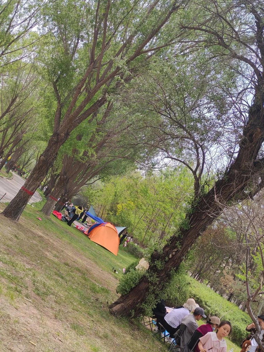 LePenny239604's tweet photo. Join our neighborhood cleanup this Saturday 9AM at Central Park! Gloves u0026 snacks provided—let’s spruce up our community together. https://t.co/rSxMEqyUmu