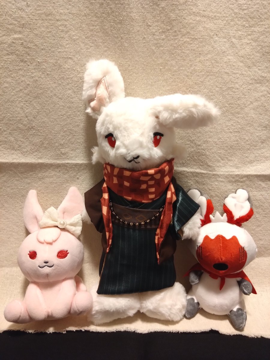 Dorotimon's tweet photo. うさぎファミリーが増えました！！
ハロモ身長高いね！！ https://t.co/1zhqYVprsn