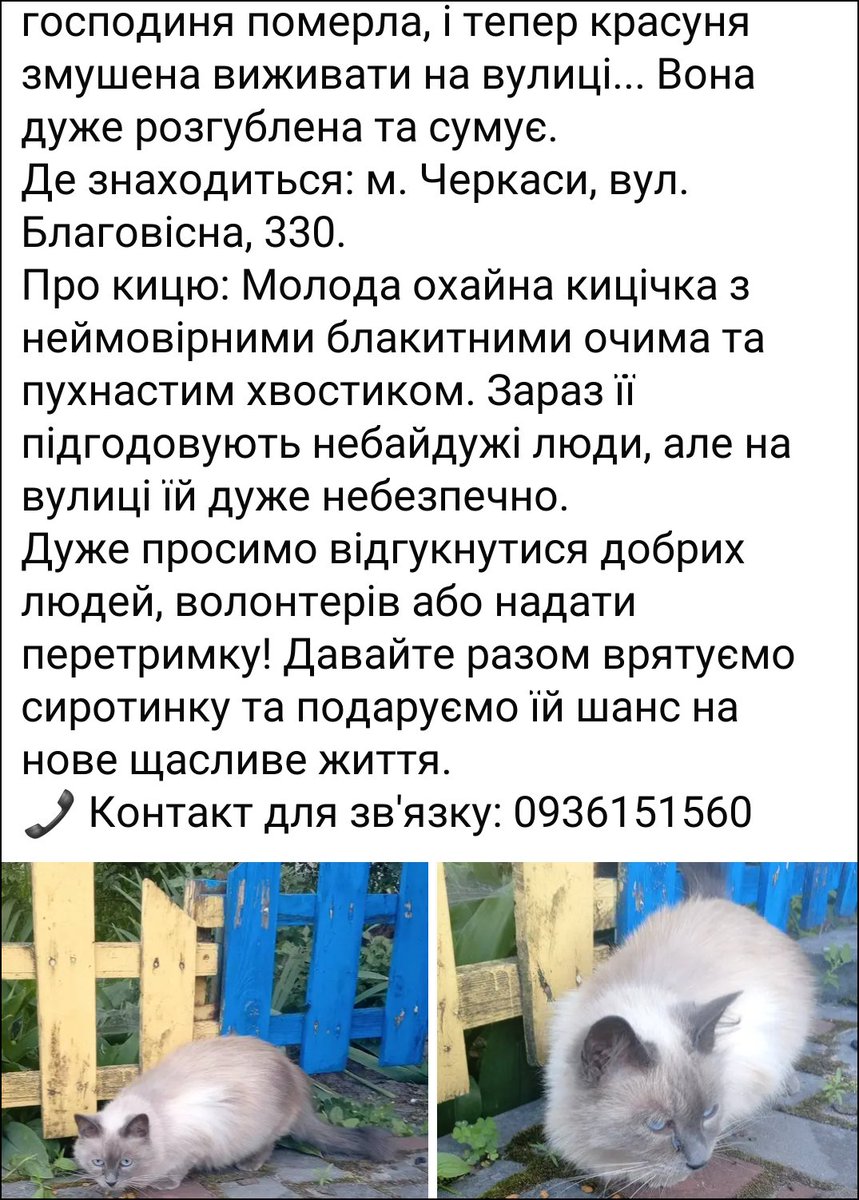 Bylbyleva's tweet photo. Черкаси https://t.co/L6uEJnJUOE