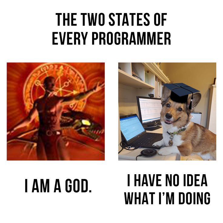 Cipher_twt's tweet photo. So true 😂 https://t.co/XV26vxgRCh