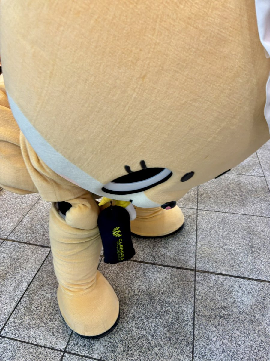 ちぃたん☆／Chiitan (@chiitan7407) / Posts / X