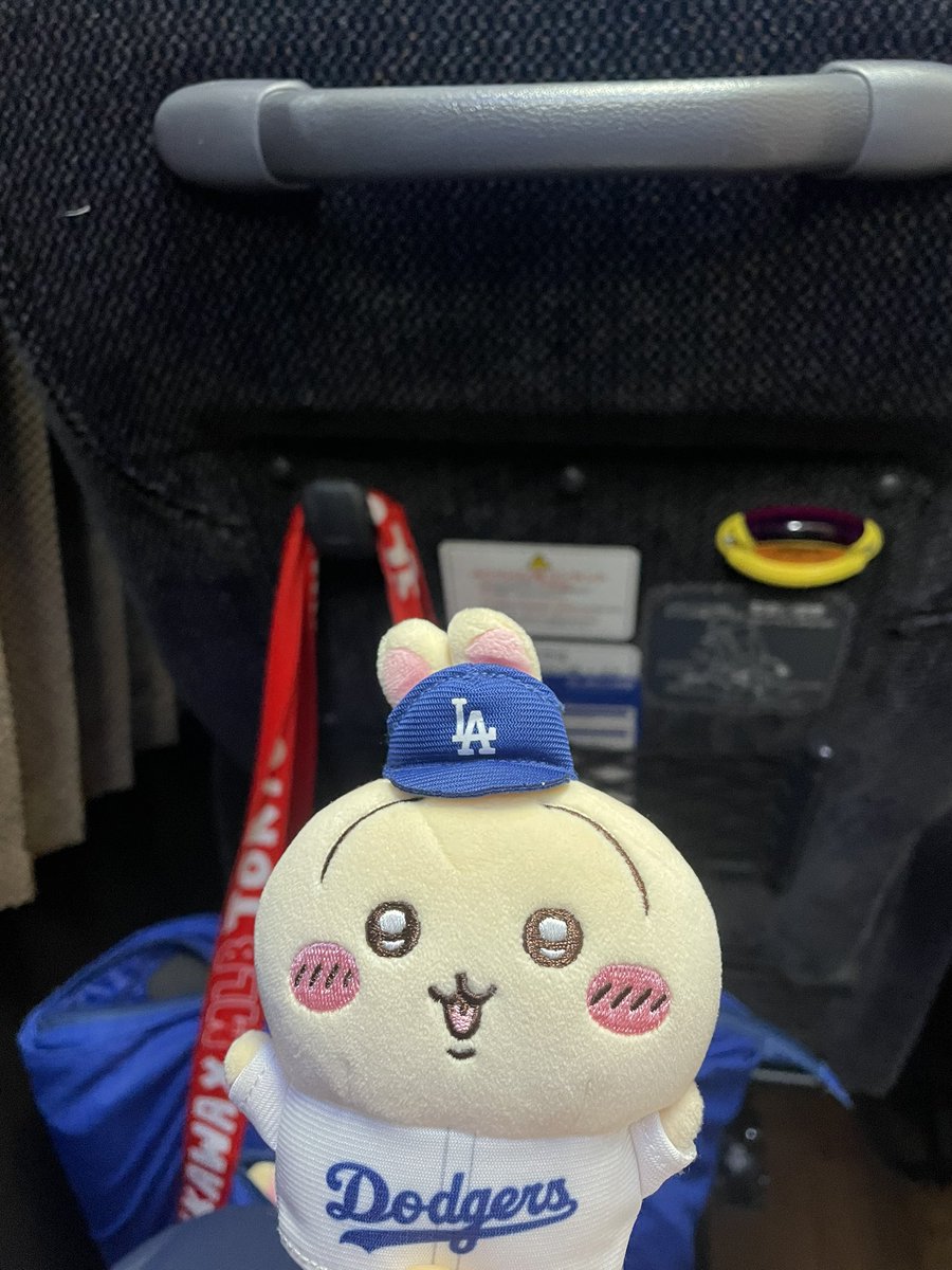 uchikoshiK2's tweet photo. このバスに自分以外のオリファン他におらんやろと思いながら東京に向かう https://t.co/EF0O4q7miH