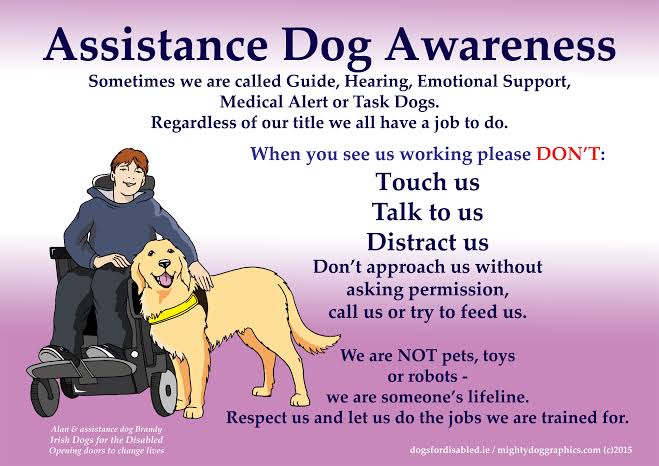 MyFourLeggedKid's tweet photo. They help the blind, deaf, disabled, Veterans, Children and more.  Dogs do it all for us and this is their week. Thank you Lord for your beautiful DOGS.  And we would be grateful to have you who share our love for animals to "LIKE"-FOLLOW" and Share our platforms. https://t.co/7GU8irQZVb and https://t.co/zgqusHlgmJ   Thank you.