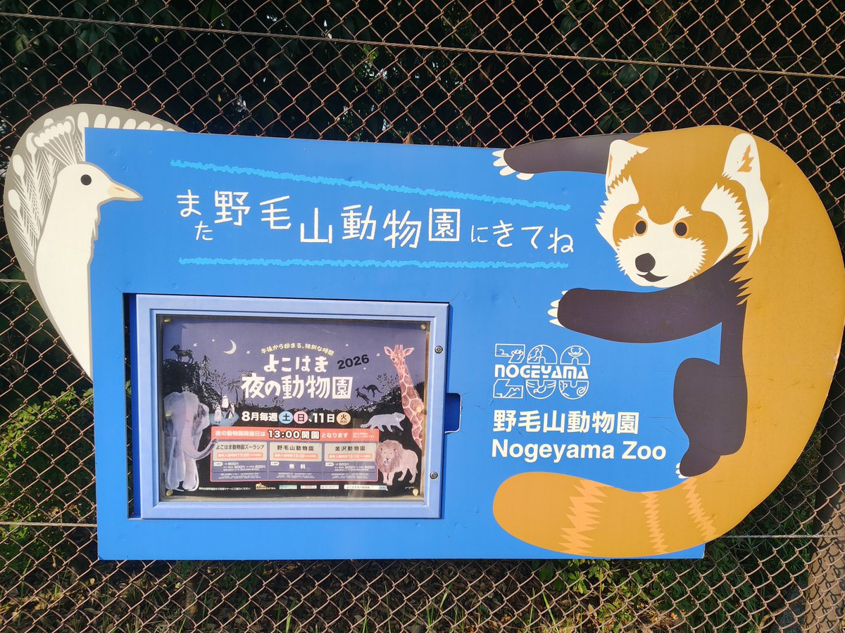 sakuya_amtrs's tweet photo. [今週の休み]
毎年夏恒例の横浜動物園ナイトズーに行ってきた!!
撮ってきた動物達を双子座で美少女擬人化するのが楽しい笑
■野毛山動物園
レッサーパンダが可愛いかったw
■金沢動物園
なかよしトンネルの妖精達を双子座で美少女化
今日一番これがやりたかったと言っても過言ではない笑 https://t.co/0Sc0pNHuUq