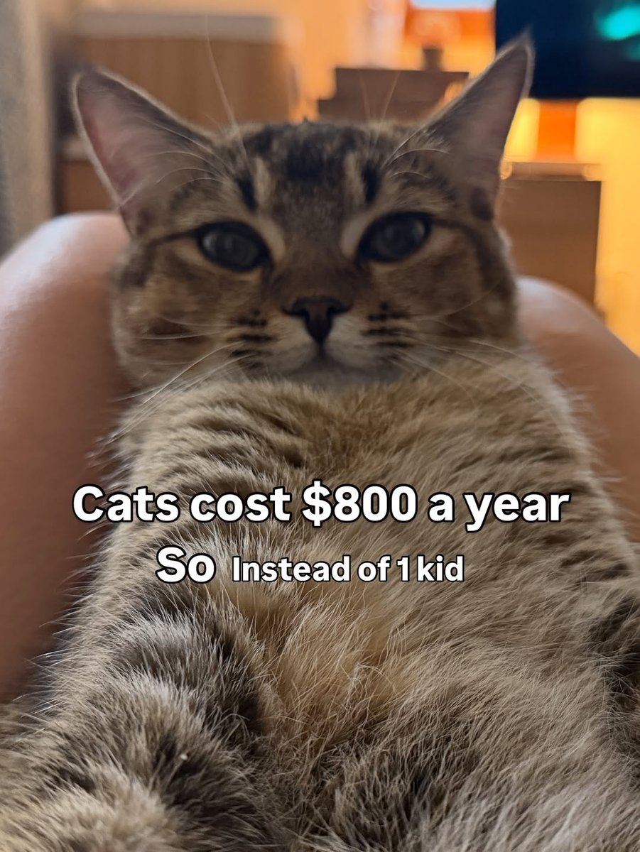 catwithaura's tweet photo. Best advice ever 😺 https://t.co/UFNT00JsXw