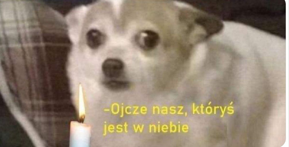 sarcasmbaex's tweet photo. W tym secie … #gangłysego https://t.co/oKUCBevBeg