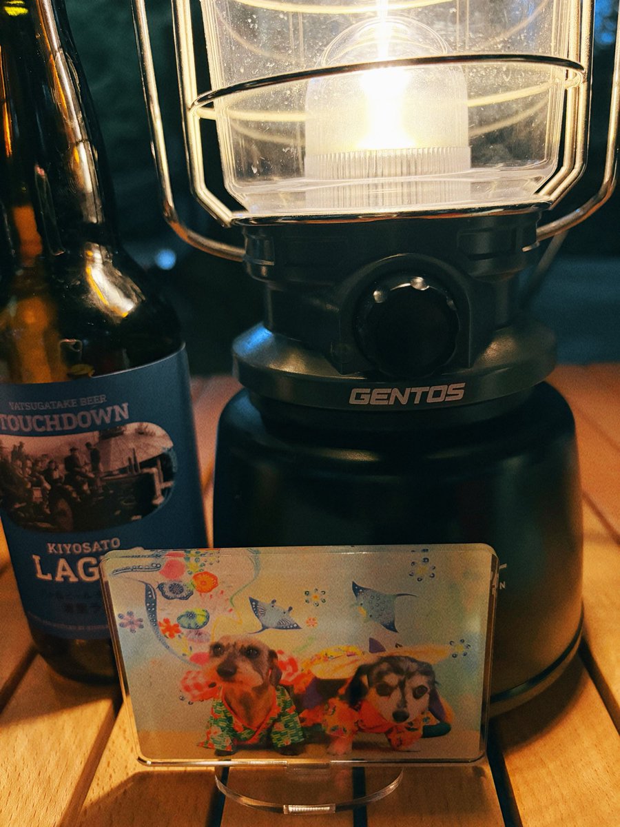 kanakoaoithuki's tweet photo. チルタイム☺️ https://t.co/dxRvzI4Oz3