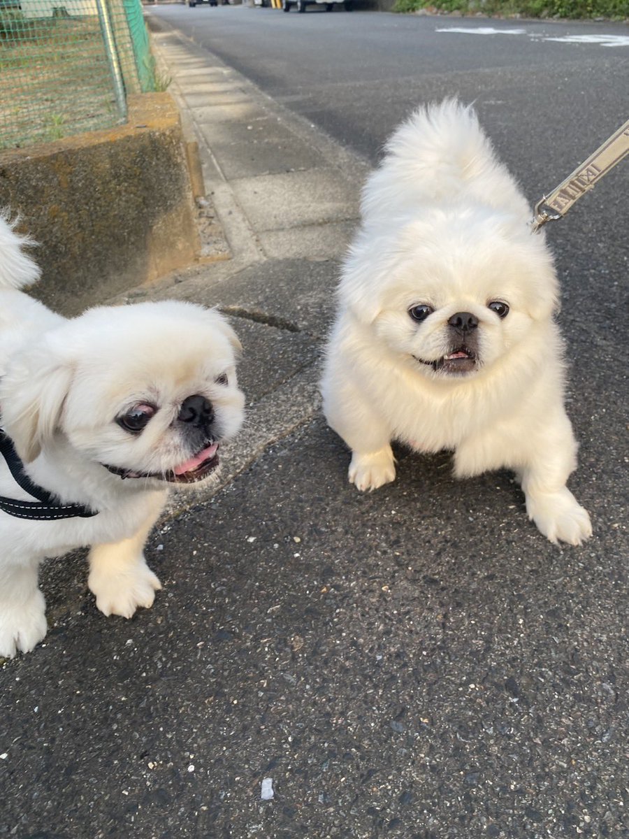 ssm_464646's tweet photo. 近所の友達と。 https://t.co/n2nUb0rLRS