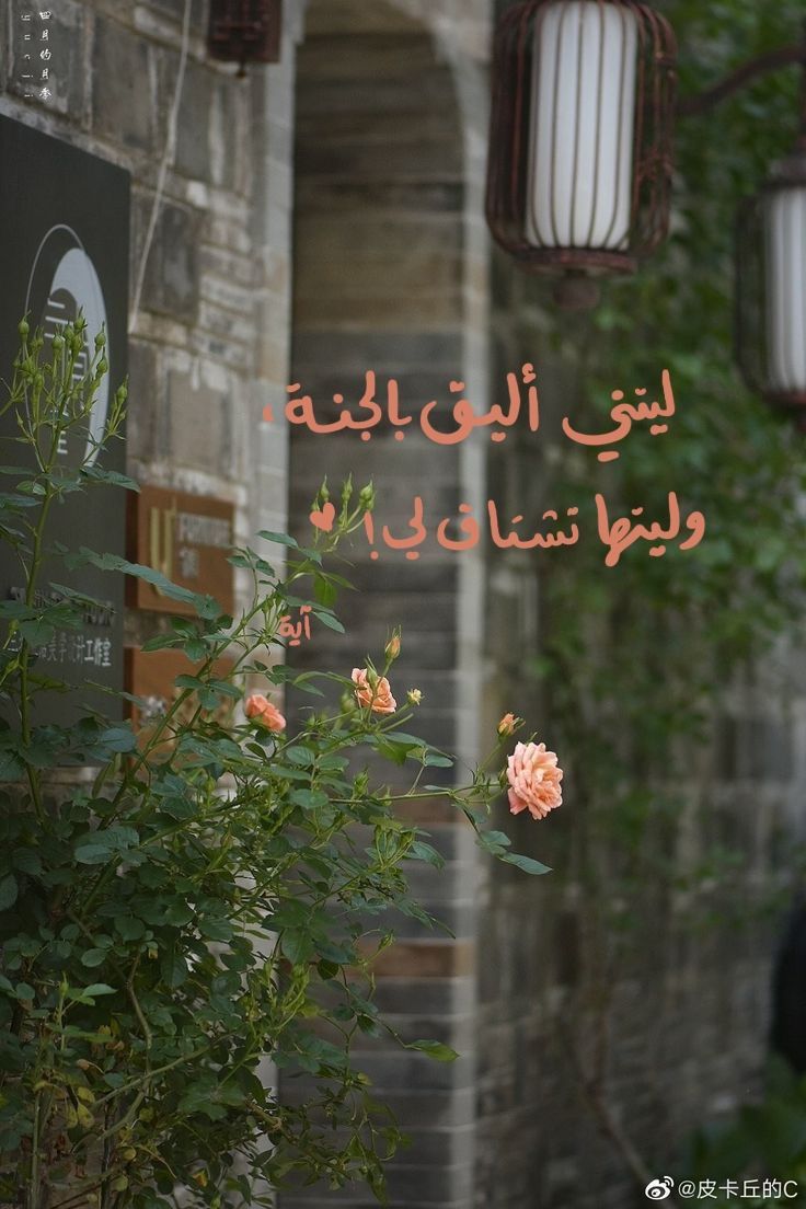 mrym_hsam64289's tweet photo. https://t.co/pnWhaDnHWV