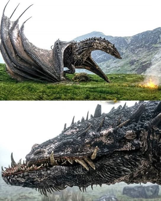 Aurora_verdit's tweet photo. Vermithor and Vhagar share the same “wolf” dragon design in House of the Dragon, which is why they look so alike.
Whether that means they’re actually related is another question. The resemblance could simply reflect a shared dragon lineage or species. https://t.co/kb0hl3TyKL
