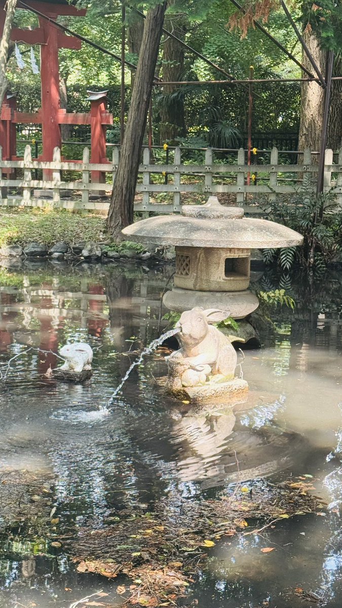 nariri0521's tweet photo. ウサギ様かわいかった🐰 https://t.co/ezcptbnhi5