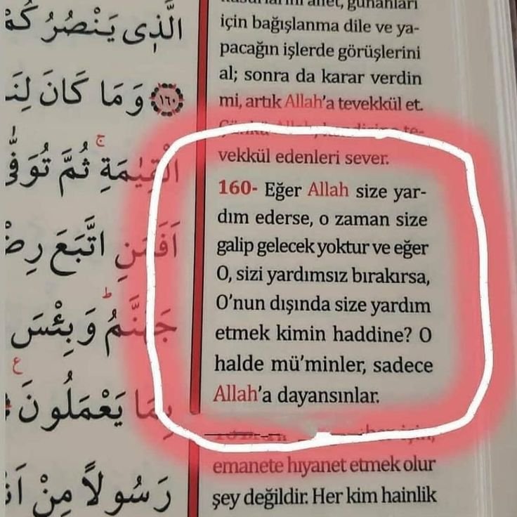 Haletihissiyat's tweet photo. "Sizin için Allah'tan başka ne bir dost,ne de yardımcı vardır."

Bakara Suresi / 107.Ayet https://t.co/OjxZzcFhlM