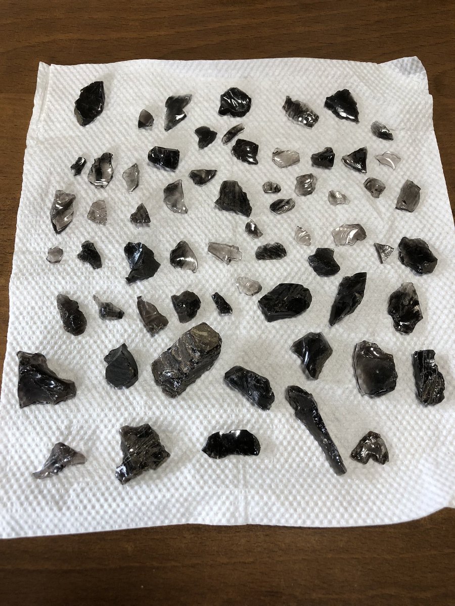 hamiy8282's tweet photo. 今日は小ぶりな黒曜石が多かったなぁ〜。
土器片は６個拾えた！

日中のクソ暑い中、畑で探し歩いていたけど風が凄く涼しかったw https://t.co/mktUur2k4H