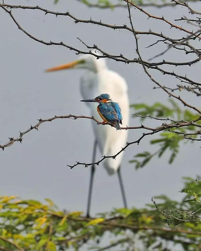 Hana_b30's tweet photo. What a stroke of luck. Right time right place!

📸 arunkumar6974 https://t.co/nTmmm46afM