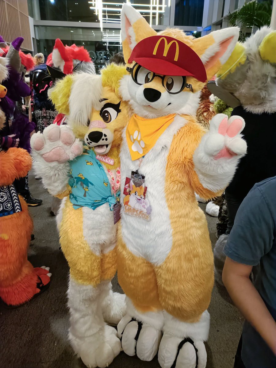 ˗ˏˋ PawFessor Yapsᶠᵒˣ ˊˎ˗ ➡️ BlueSky tweet media
