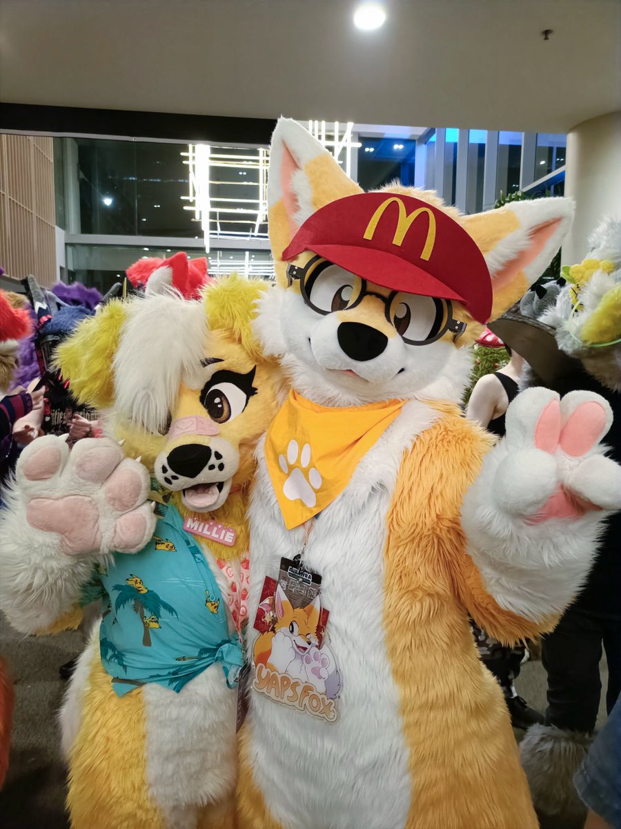 ˗ˏˋ PawFessor Yapsᶠᵒˣ ˊˎ˗ ➡️ BlueSky tweet media