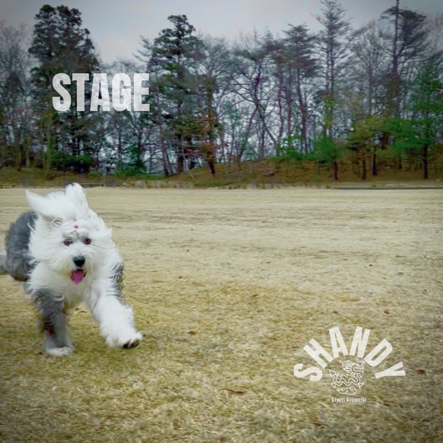 shandy_band's tweet photo. 【New Record】

STAGE -Single

Coming soon… https://t.co/EOFPKFWOpK