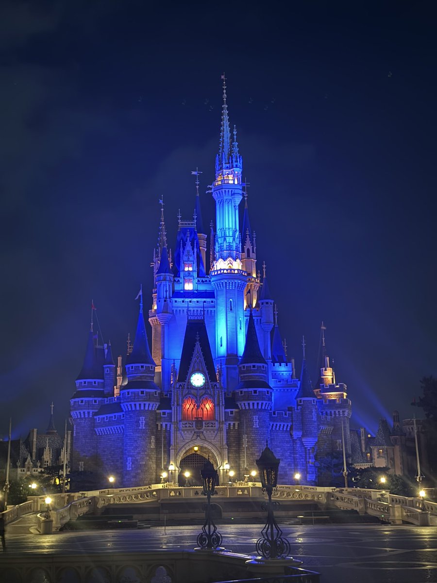 pote_Disney's tweet photo. 8/1 (日) 🏰

リーチのドローンあがってくれたし、ブルーバイユーのトワイライトセットも食べることができて非常に満足度の高い1日でした😆 https://t.co/NBXWs0PSqp