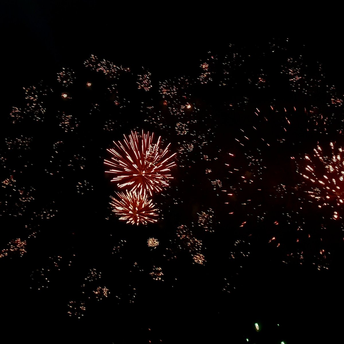 eunbaek_01's tweet photo. I watched 花火大会🎆 yesterday night and I brought wuci pape with meee!! It was very breathtaking and amazing even though very crowded. You can see how tired and struggle my wuci pape last night🤣WWW https://t.co/Bh5Y6v37IL