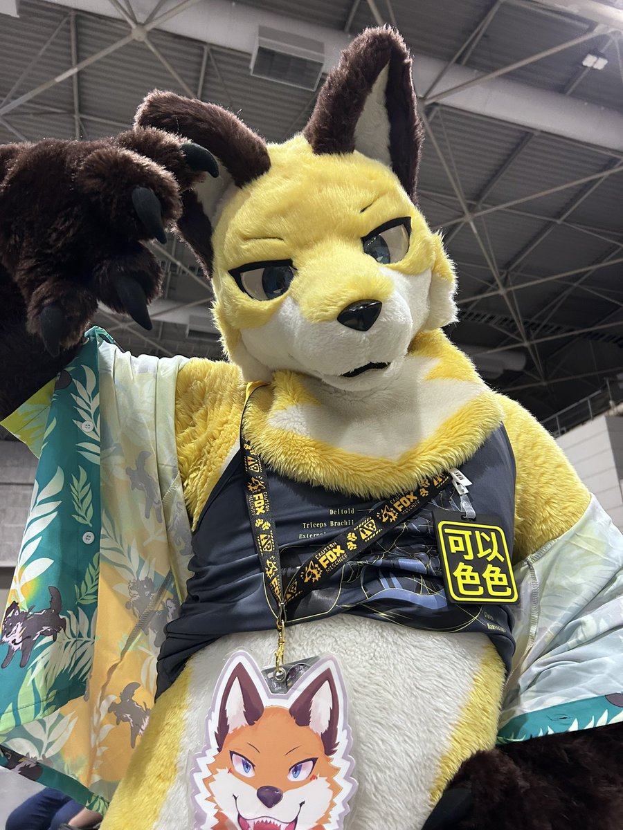 トール🍮 (@Thor_5858) / Posts / X