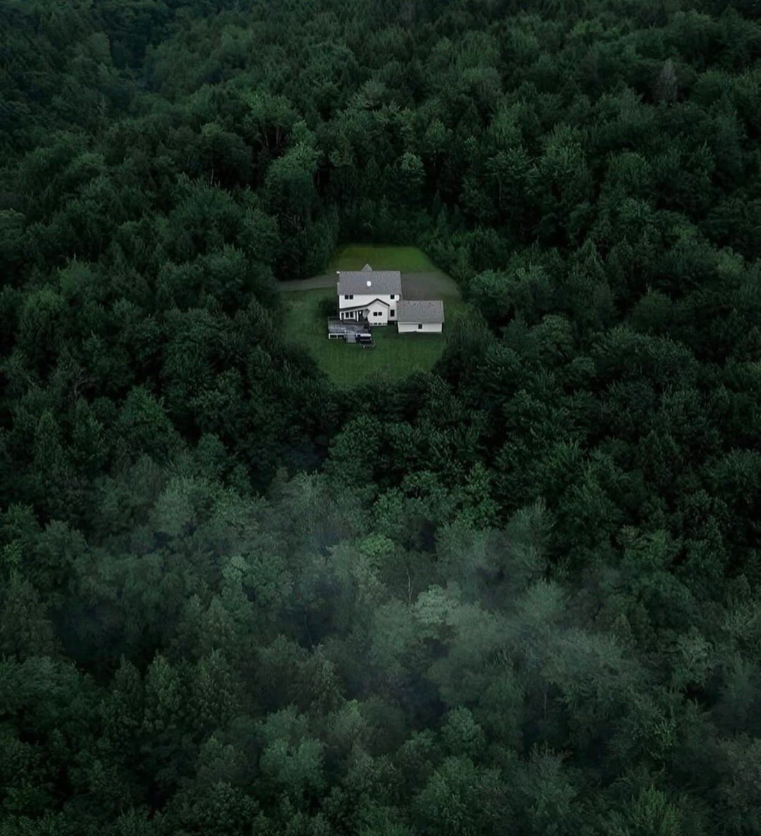 hutdesigns's tweet photo. I cannot decide if this looks like the best peaceful dream home or the start of a thriller movie https://t.co/FewY0ewMhd
