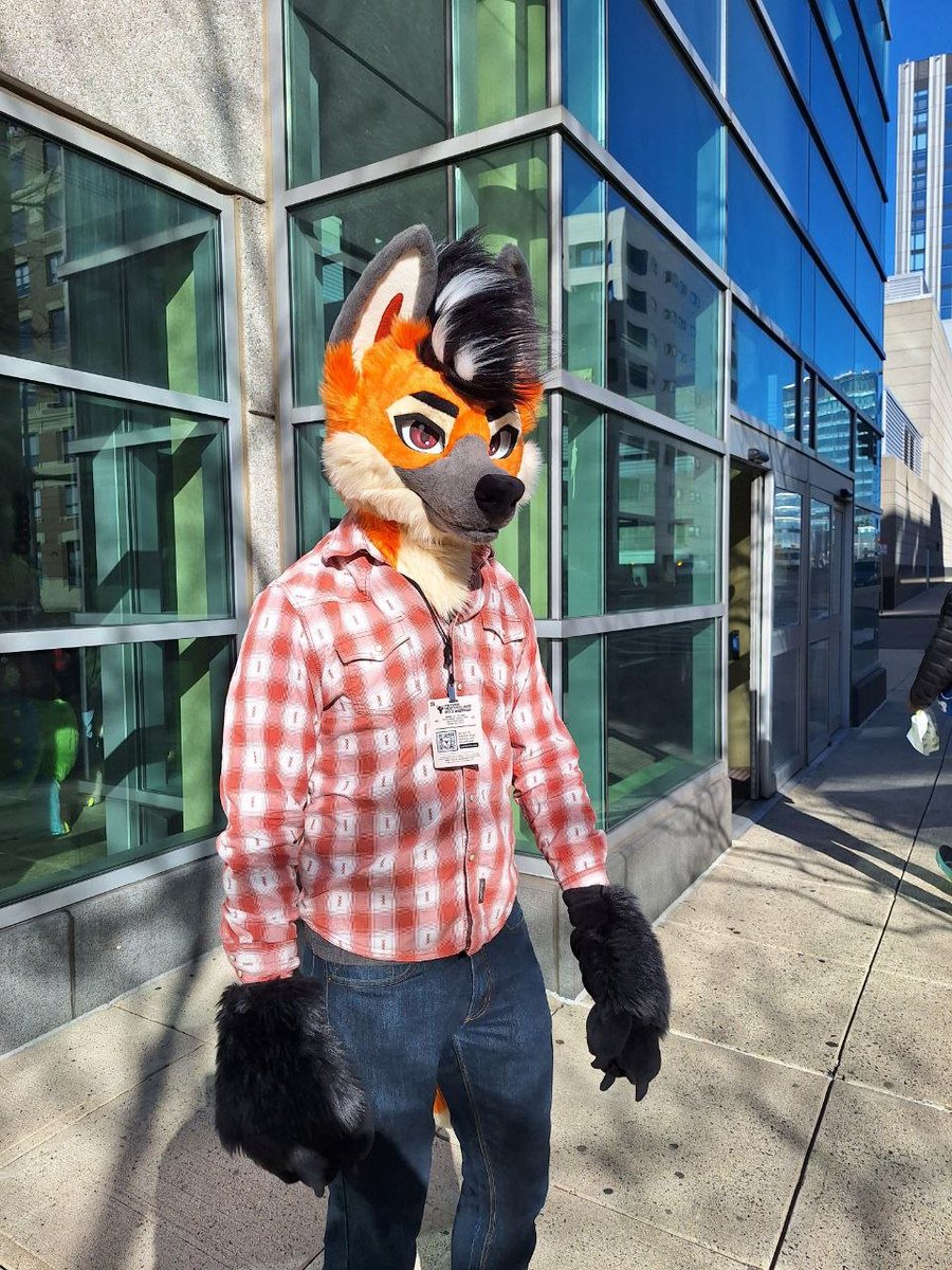 echotmwolf's tweet photo. How to find me at Furrydelphia

I will be the tall maned wolf

Do
✅Say Hi
✅Ask for uppies and hugs
✅Invite me to parties
✅Ask about Apples

Don’t
❌Be Rude
❌Touch me without asking
❌Ignore my handler

SEE YA’LL THERE

#furry #fursuit #pupplay #gayfurry #gayfur #Furrydelphia https://t.co/zZPVVL0lts