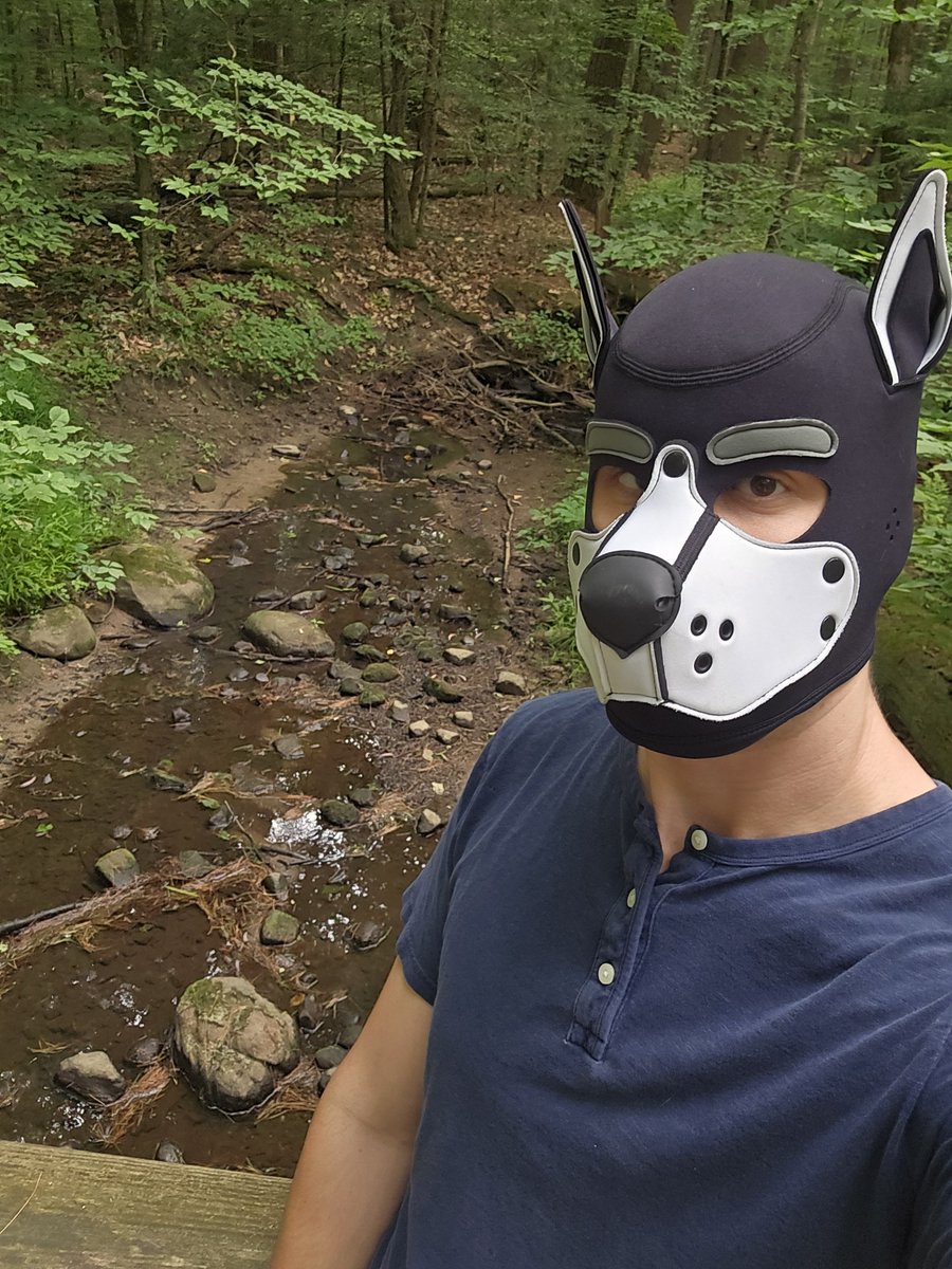 echotmwolf's tweet photo. How to find me at Furrydelphia

I will be the tall maned wolf

Do
✅Say Hi
✅Ask for uppies and hugs
✅Invite me to parties
✅Ask about Apples

Don’t
❌Be Rude
❌Touch me without asking
❌Ignore my handler

SEE YA’LL THERE

#furry #fursuit #pupplay #gayfurry #gayfur #Furrydelphia https://t.co/zZPVVL0lts