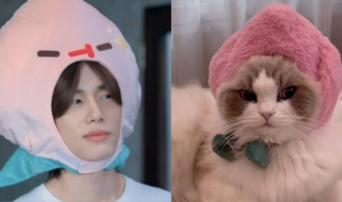 lookphuphu's tweet photo. nong meow Phuphu 🫧  ꒰ᐢ. .ᐢ꒱ 🥺ᰔ ₊˚⊹ 🫶🏻🤏🏻🎀💐 ʚ❤︎ɞ 💝🤏🏻 #phuwintang 

Papa😾                                         His baby😾 https://t.co/yZfQxlFGLJ