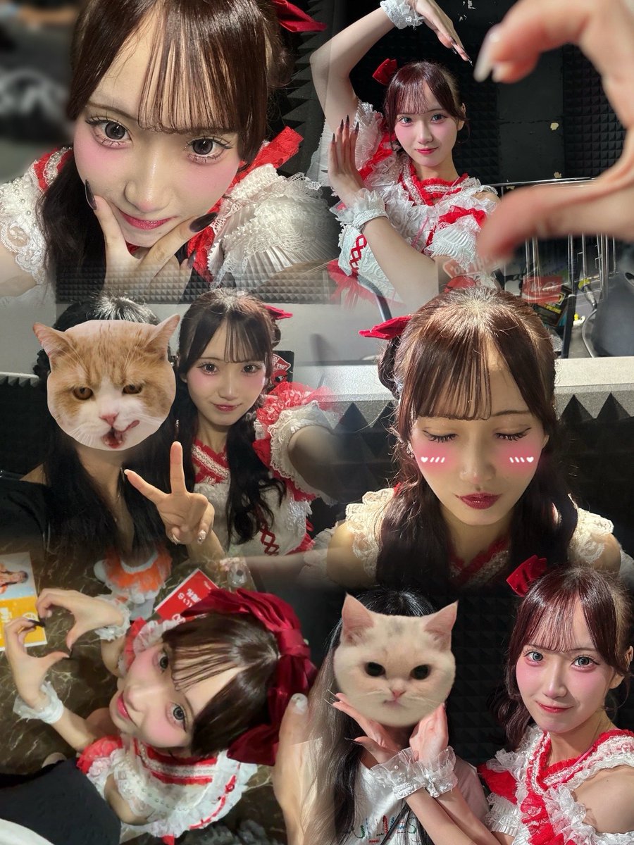 sc011hs's tweet photo. #れらにゃんの鈴の音 https://t.co/p1rg4UdF5R