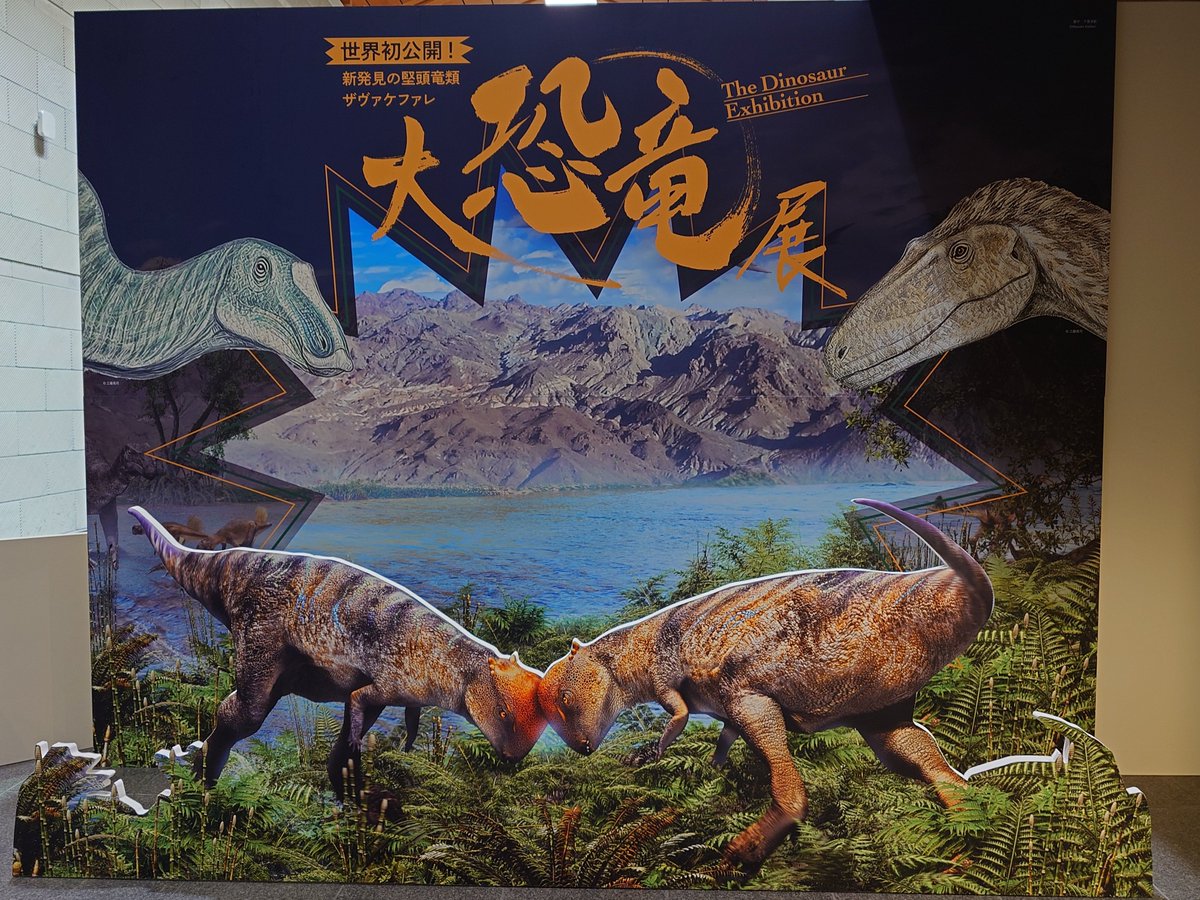 TK010_2018's tweet photo. 大恐竜展行ってきました🦖
ジュラ紀・白亜紀の環境やそもそも恐竜とは？、という話、更に発掘・研究についてや目玉のザヴァケファレについて、と盛りだくさんでした✨️
あと見覚えがあったタルボサウルスが昨年訪れたたんば恐竜博物館のもので久しぶり〜、ってなりました😆
#大恐竜展
#福島県立博物館 https://t.co/cBPRwVprDl