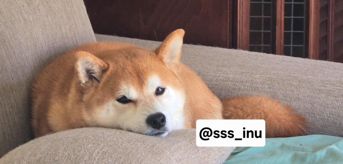 sss_inu's tweet photo. おやすみ～～😌🌃💤 https://t.co/EtE7VanP5X