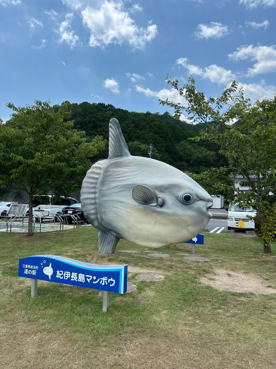 fuzz22t's tweet photo. 醤油を買うためだけに往復350km https://t.co/A0MKT5Y6jW