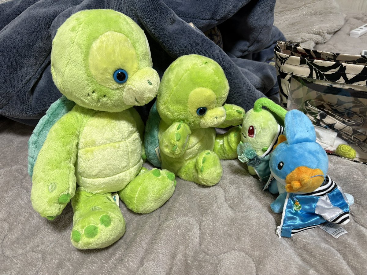 asleepbear's tweet photo. フォロワー「眠り熊さんが好きなぬい、ミズゴロウとオルメルから考えると口がωというかモニョモニョしててちょっとぼうっとしているデザインでは？」
眠り熊「ほえー‥‥‥」

フィノさんに一目惚れして帰った後にこの内容を見返した眠り熊「この子その好みそのまんまやんけ！！！！！！！！！！」 https://t.co/z32EcsV2bm