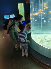 BaldBulls's tweet photo. Wasn't around much in the first half today, family time came first. 😊

Spent a wonderful day exploring Science City, Ahmedabad with my loved ones. Sometimes, the best investment is creating memories that last a lifetime.

 #ScienceCity #Ahmedabad https://t.co/y0thRxOD3U