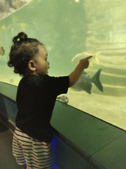 BaldBulls's tweet photo. Wasn't around much in the first half today, family time came first. 😊

Spent a wonderful day exploring Science City, Ahmedabad with my loved ones. Sometimes, the best investment is creating memories that last a lifetime.

 #ScienceCity #Ahmedabad https://t.co/y0thRxOD3U