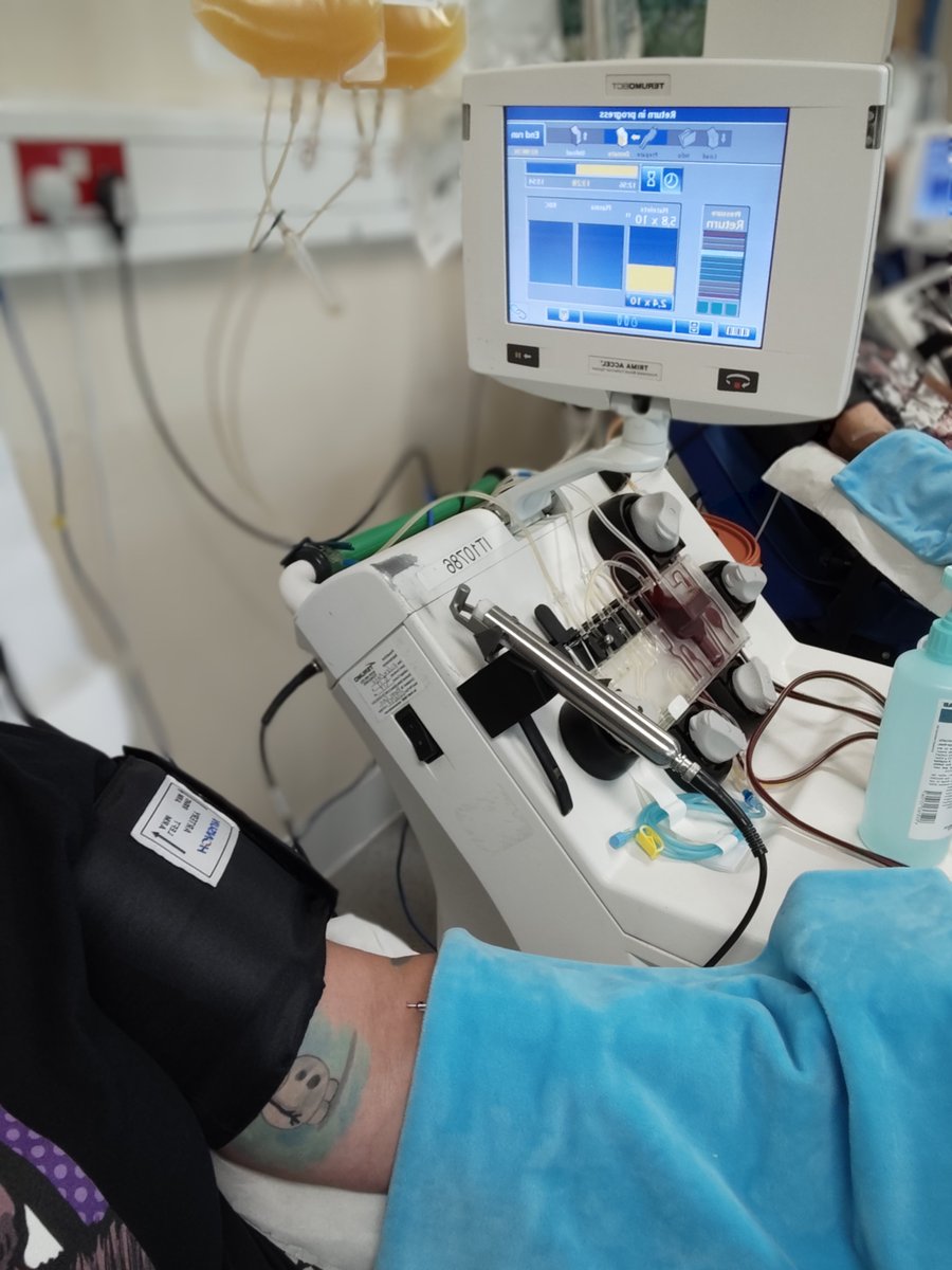 UFCSpecialHead's tweet photo. Getting the 105+106 in before the tattoo sesh next week! Will have to wait 4 months till the next donation... It'll be Christmas 🎄🎁 🙈

Hope you all find some good in today 🙏 🫶 

#GiveBlood #GivePlatelets https://t.co/WpJ7AH8RIg