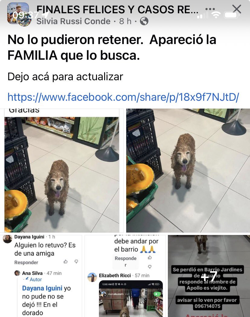 Adriana43587622's tweet photo. https://t.co/XRYU5xu3Tq