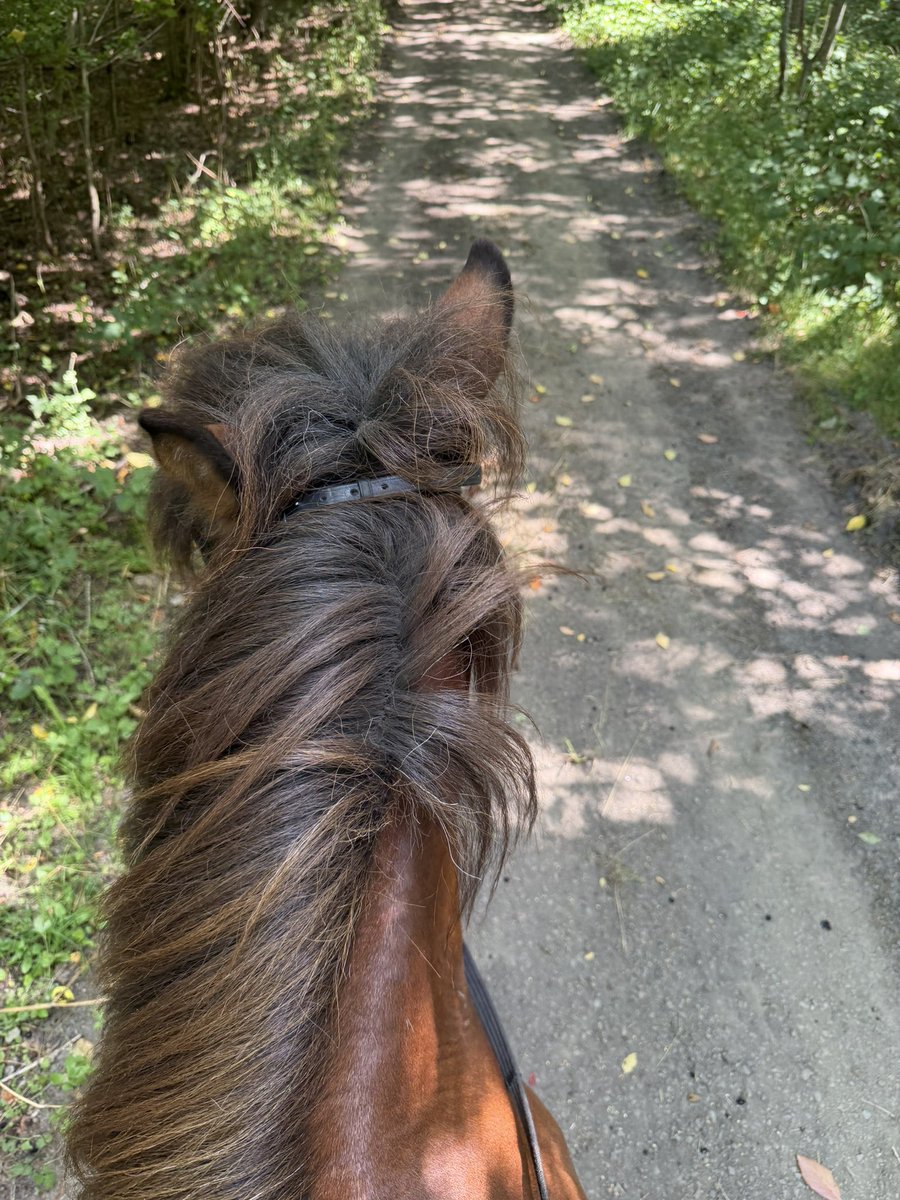 Ladymadeline5's tweet photo. Ich genieße den Tag bei einem Ausritt während du mich glücklich mit Scheinchen machst 💸 https://t.co/adz8mWkxae
