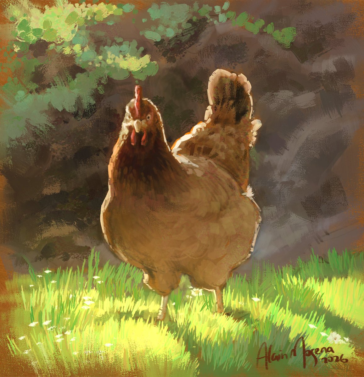 alain_mogena's tweet photo. A chicken https://t.co/54FLqN0rrj
