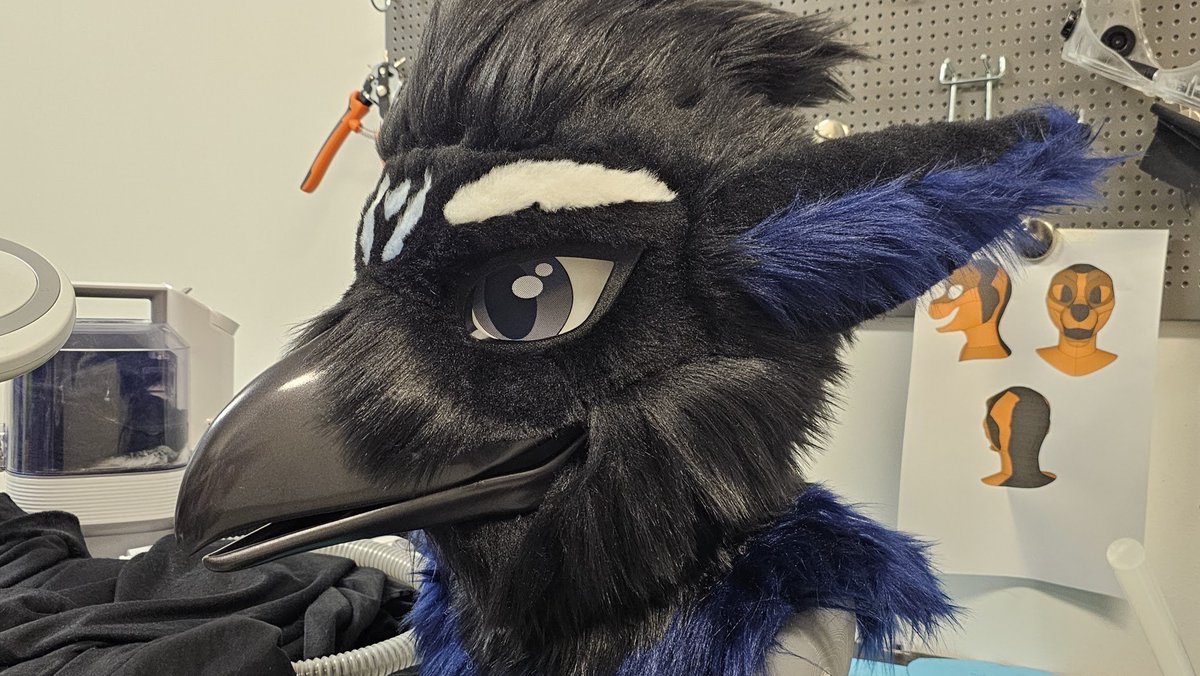 Polycr0w's tweet photo. Steller's Jay gryphon for Hoxie 🐦‍⬛🩵 https://t.co/RstukVgJYU