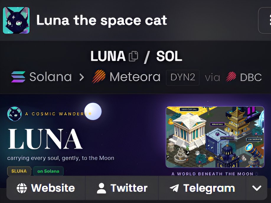Luna the space cat tweet media