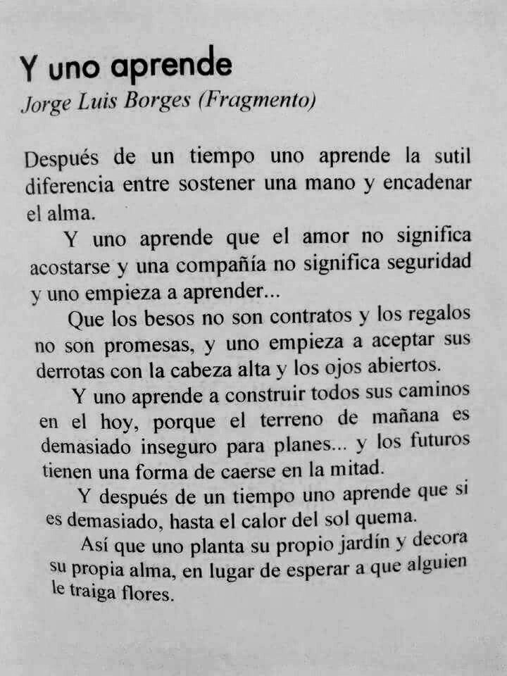 Luis H.F. tweet media