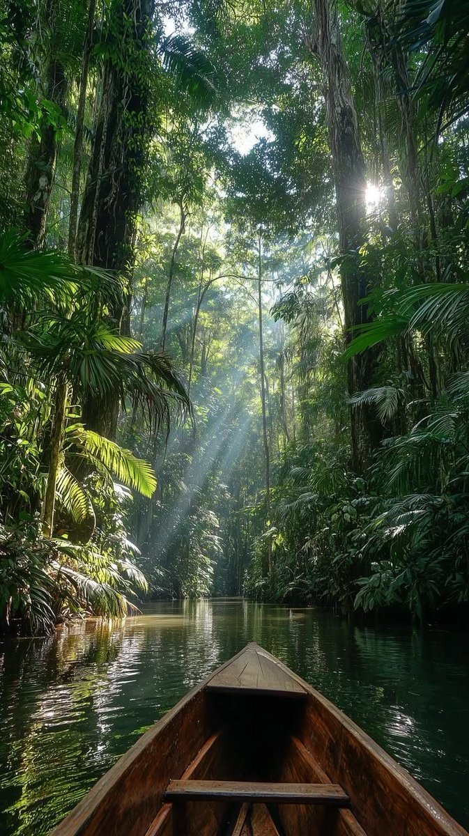cozyycabin's tweet photo. Paradise https://t.co/wZZ7lH4NXQ