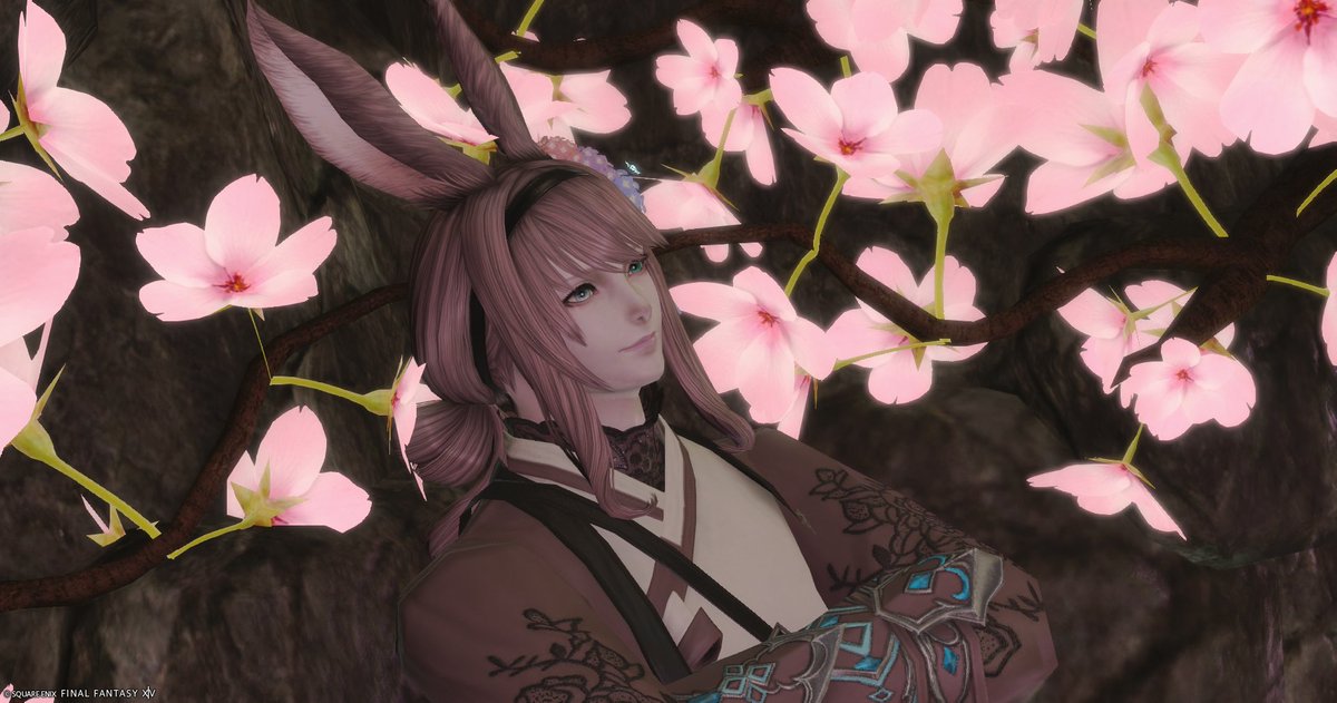 Mer_J_'s tweet photo. 前撮りしたものはこれでぜんぶ！のはず。
告知見た感じ桜～ピンク～って感じかな？って思ってピンクなガチ女装(になってしまった)ミラプリ組んでいったら、かなり桜の精みたいになった気がする🌸🐰
#TaoProject #花ノ通ひ路 https://t.co/1e6oIRUJg0