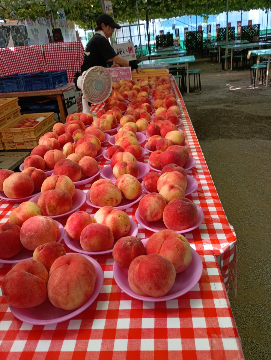 BK07115472's tweet photo. 今年2回目の桃食べ放題に���って来た🍑山梨🍑
白鳳10個で腹いっぱいに🤣

高速で帰るつもりが何故か雁坂トンネルを抜けて秩父回りで帰って来た🚘(笑) https://t.co/L4GYRt4rAV