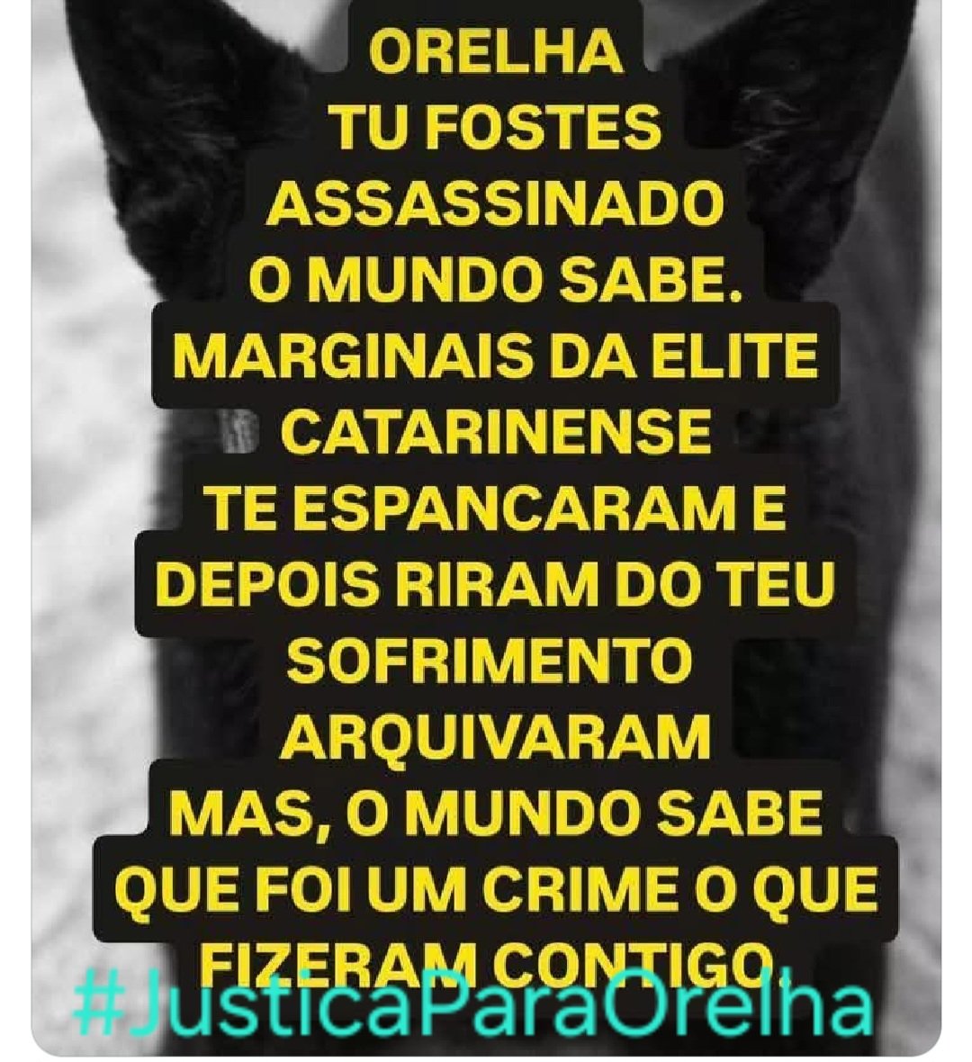 Cristin96731220's tweet photo. #JustiçaParaOrelha https://t.co/XXno36F3Ti