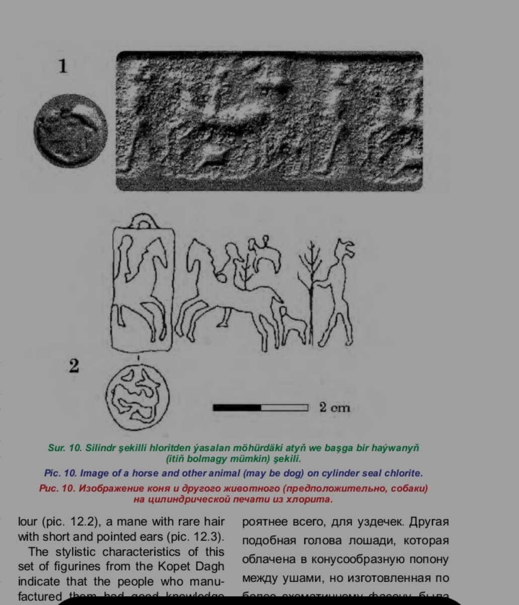 ShauryaCGhoshal's tweet photo. We also have seals depicting horse riding in BMAC. The horses were mostly used by the elites as a mark of power and sovereignty. Sarianidi also notes horse sacrifices, a culture fully acquainted with horses based on both ritual and strategic utility. https://t.co/sGjS2zZ47T
