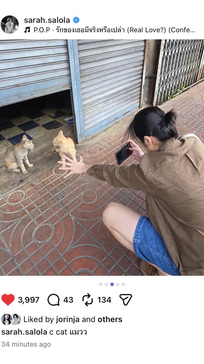 ppppmusic_'s tweet photo. ค้าบม๋าห์🐶 ค้าบเหมียว😼 เข้าใจแล้วค้าบ https://t.co/srsEi77Moh